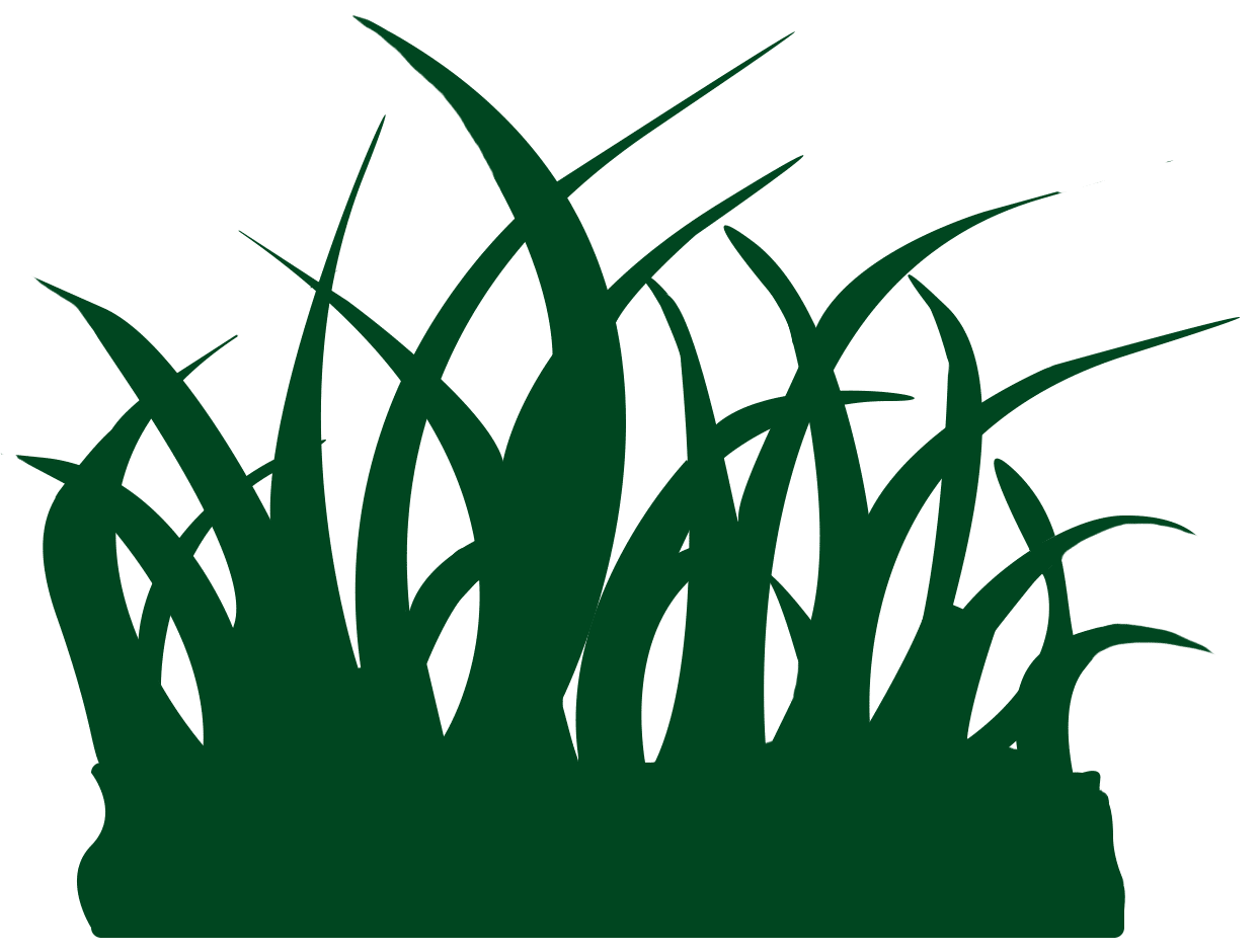 maïs boeren cent Tuin en Kunstgras | Kunstgras kopen en laten leggen